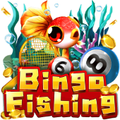 Bingo Fishing casino plus owner