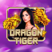 Dragon Tiger casino plus owner live casino